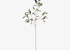 Abrell Vase & Elena Laurel Spray Branches