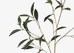 Abrell Vase & Elena Laurel Spray Branches
