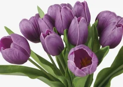 Agnes Tulip Bunch