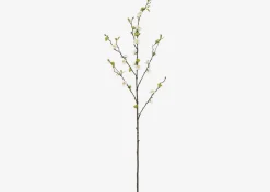 Aliana Plum Blossom Branch