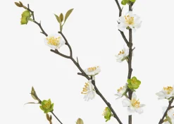 Aliana Plum Blossom Branch