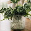 Australia Fern Branch