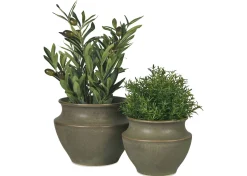 Barber Planter
