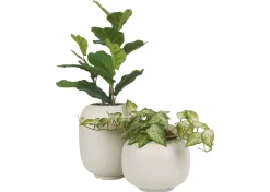 Bardot Planter