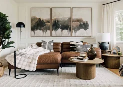 Bison Wall Art Set