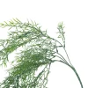 Bray Snapdragon Branch