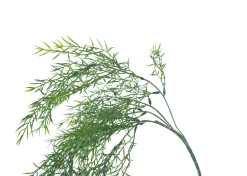 Bray Snapdragon Branch