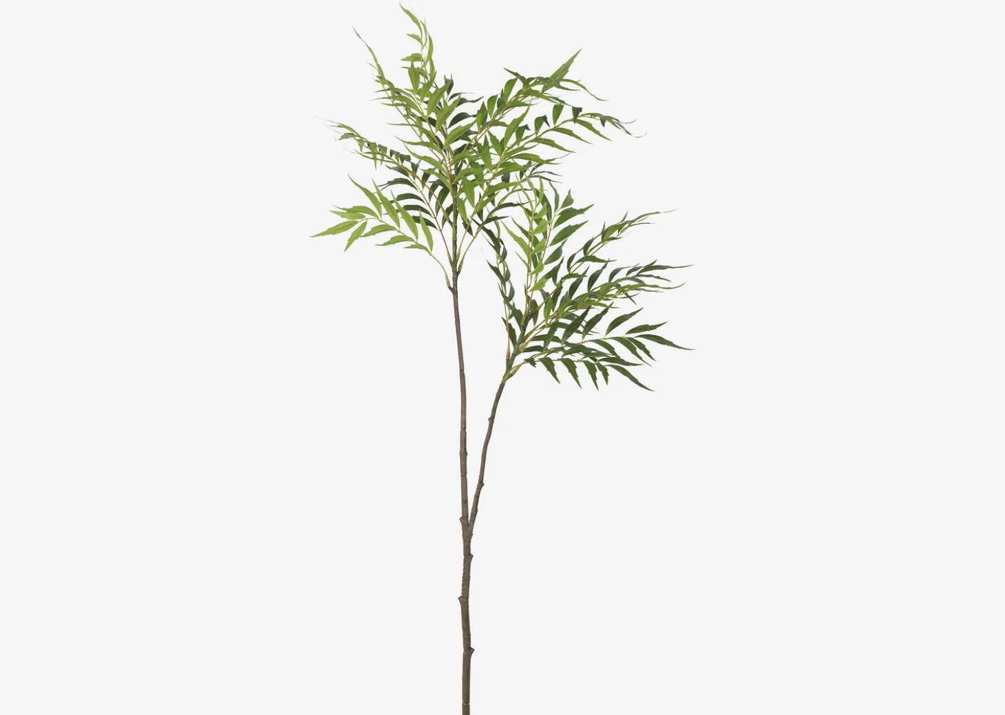 Bryce Bamboo Palm Branch