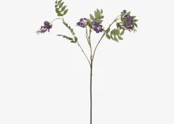 Byer Wisteria Branch