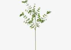 Cale Mini Eucalyptus Spray