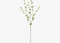 Creek Spring Leaf Branch