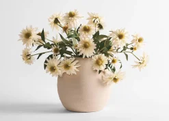 Daleyza Vase & Cate Echinacea Stems