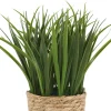 Edyn Grass Potted