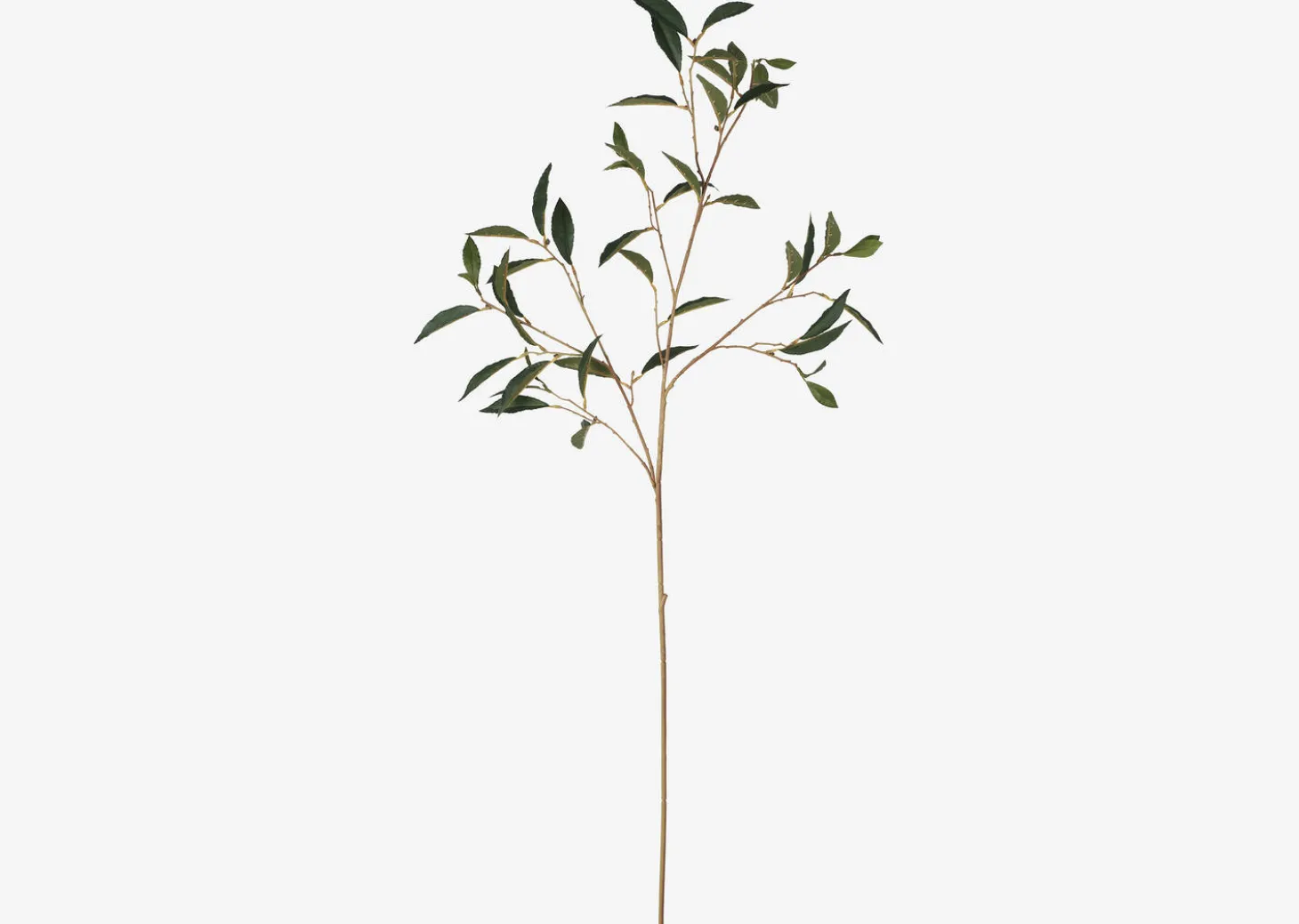 Elena Laurel Spray Branch