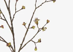 Gail Prunus Branch