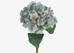 Gretel Hydrangea Stem