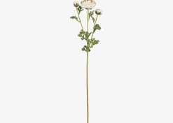 Helene Ranunculus Branch Ivory