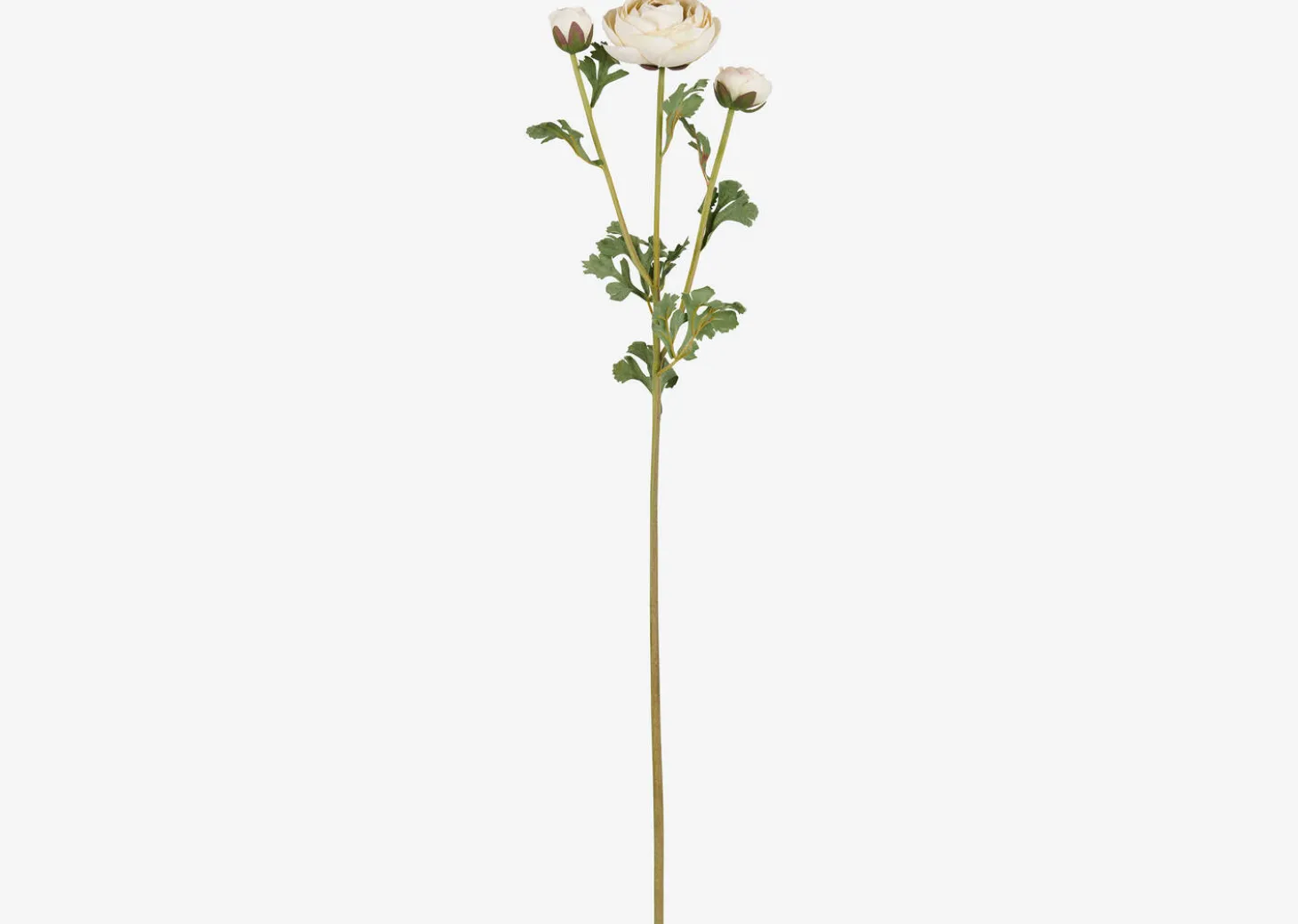Helene Ranunculus Branch Ivory
