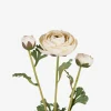 Helene Ranunculus Branch Ivory
