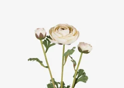 Helene Ranunculus Branch Ivory
