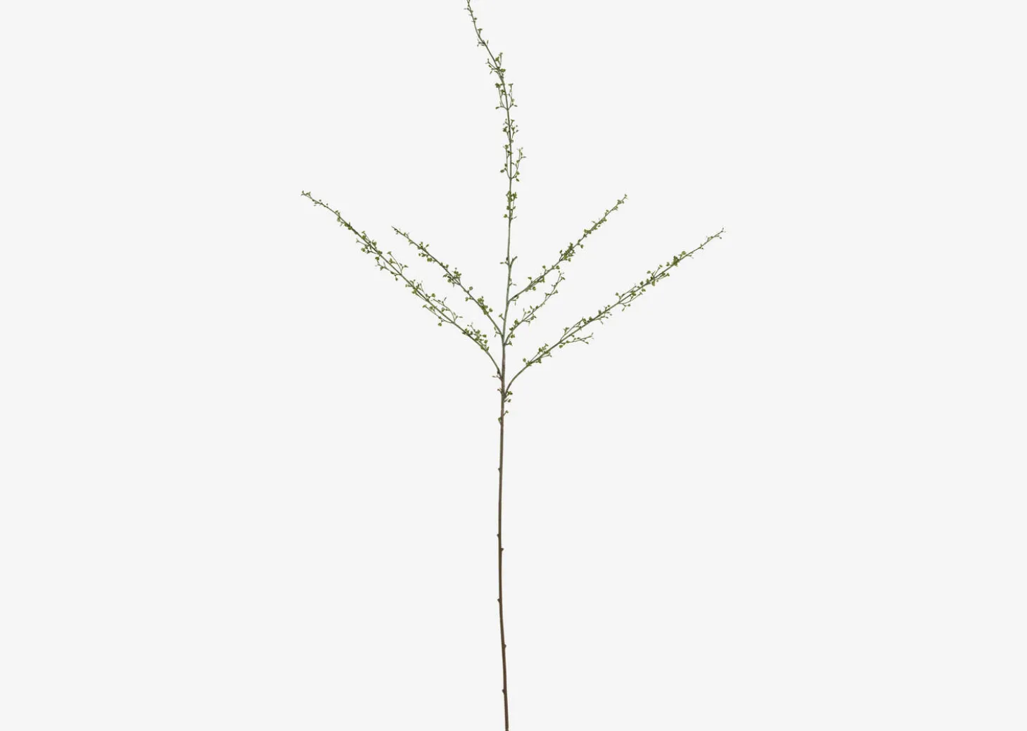 Hopper Mini Spring Branch