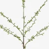 Hopper Mini Spring Branch
