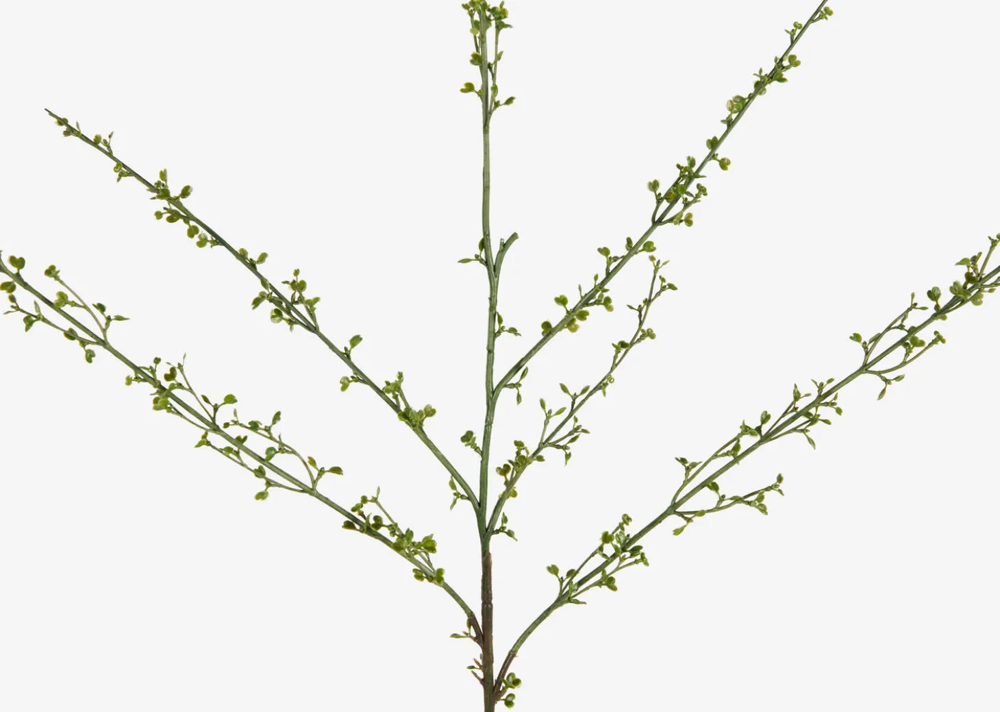 Hopper Mini Spring Branch