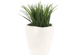Hugo Planter