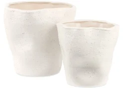 Hugo Planter