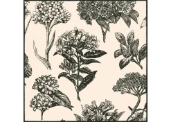 Hydrangea Napkin Set of 6 Natural/Black