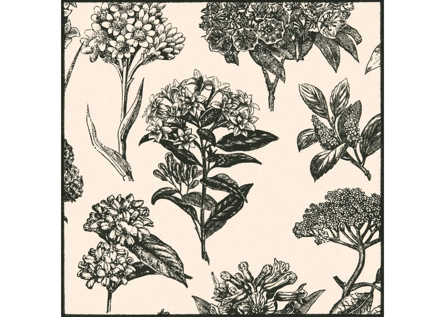 Hydrangea Napkin Set of 6 Natural/Black