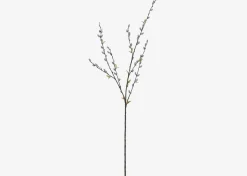 Jessa Pussy Willow Branch