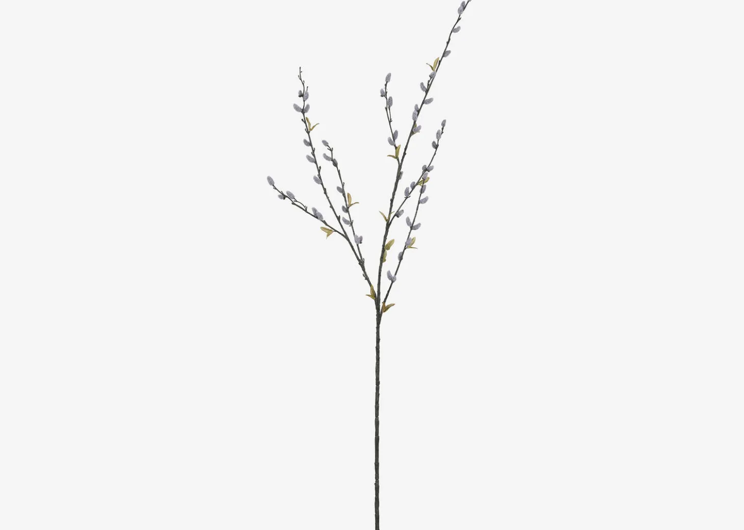 Jessa Pussy Willow Branch
