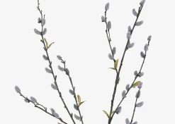 Jessa Pussy Willow Branch