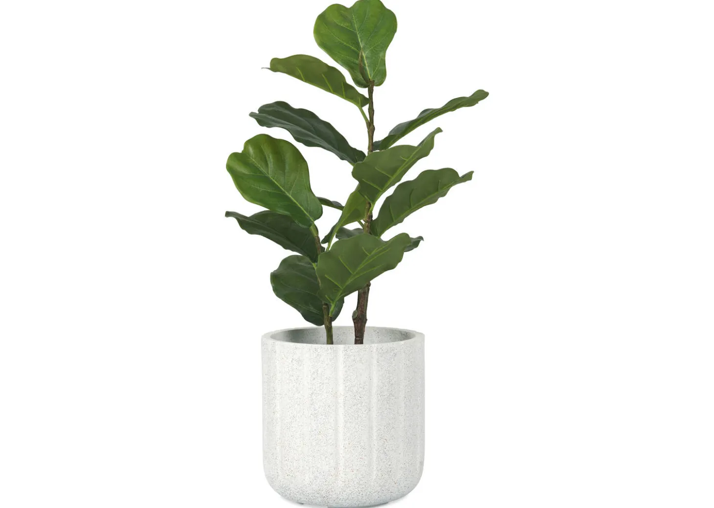 Kora Planter