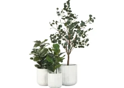 Kora Planter