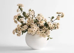 Kya Cherry Blossom Branch
