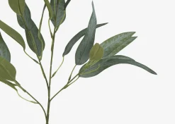 Letty Salix Willow Branch