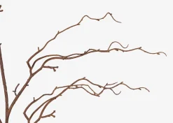 Liliana Willow Branch Stem
