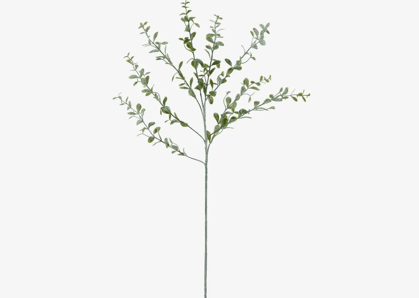 Linnea Leaf Branch