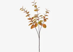 Luis Eucalyptus Stem Caramel