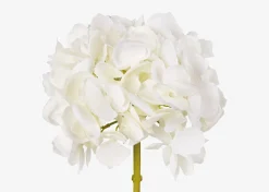 Lydia Hydrangea Stem