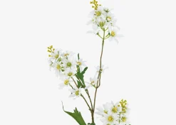 Mandi Floral Stem