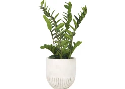 Manny Planter