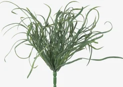 Maya Sea Grass Branch