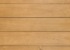 Nori Bookshelf -Arlyn Fawn