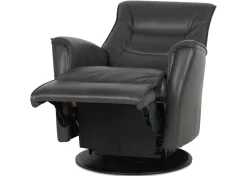 Paramount Leather Recliner