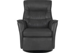 Paramount Power Recliner