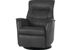 Paramount Power Recliner