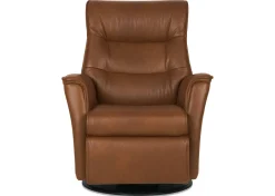 Paramount Power Recliner